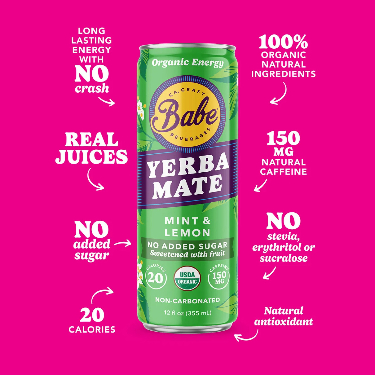 DRINK YERBA MATE MINT LEMON CAN NO SUGAR ADDED N/C
